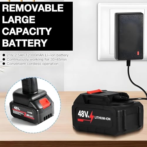 DOUBLE BATTERY CAR WASHER